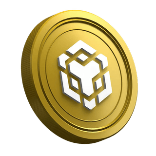 Criptomoneda BNB dentro de la página de la guía para el trader principiante